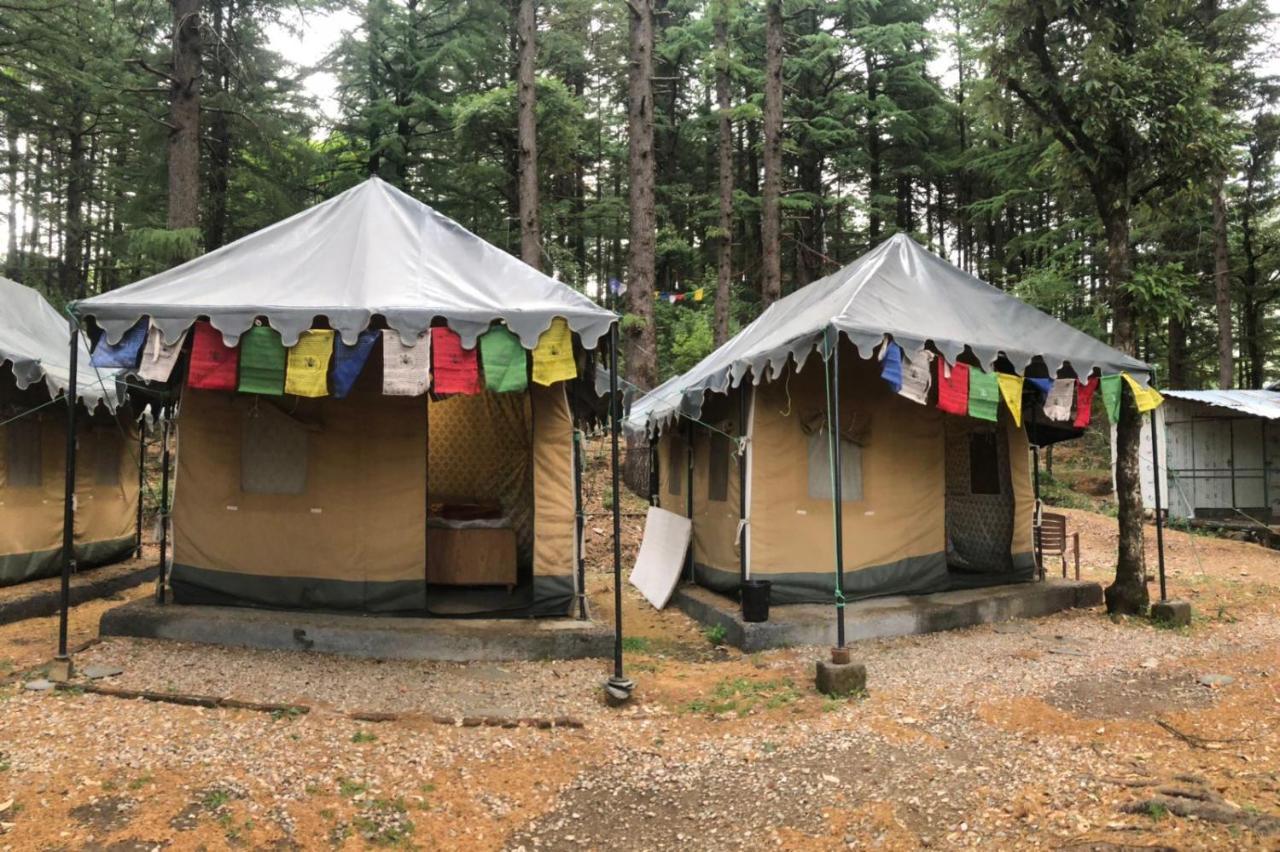Himtrek Stays,Mcleodganj McLeod Ganj Eksteriør bilde