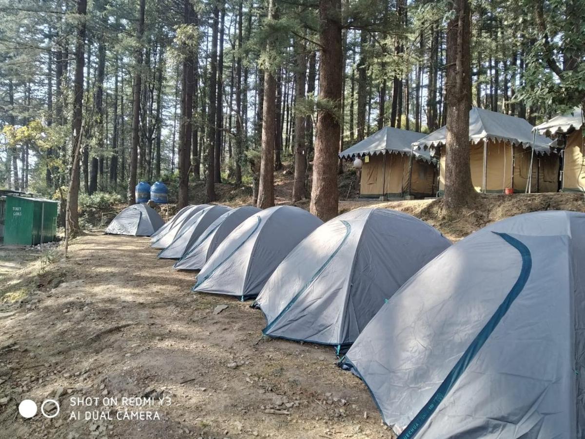 Himtrek Stays,Mcleodganj McLeod Ganj Eksteriør bilde