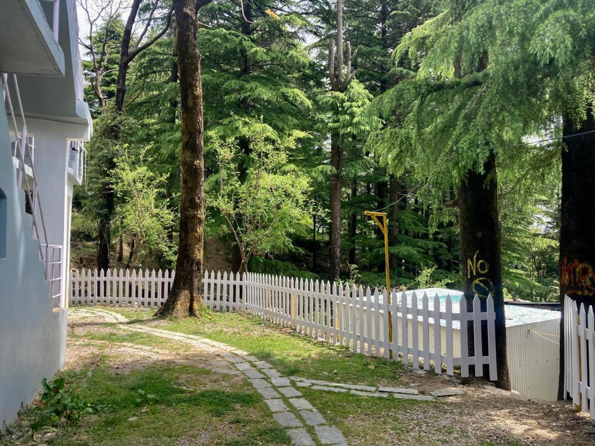 Himtrek Stays,Mcleodganj McLeod Ganj Eksteriør bilde