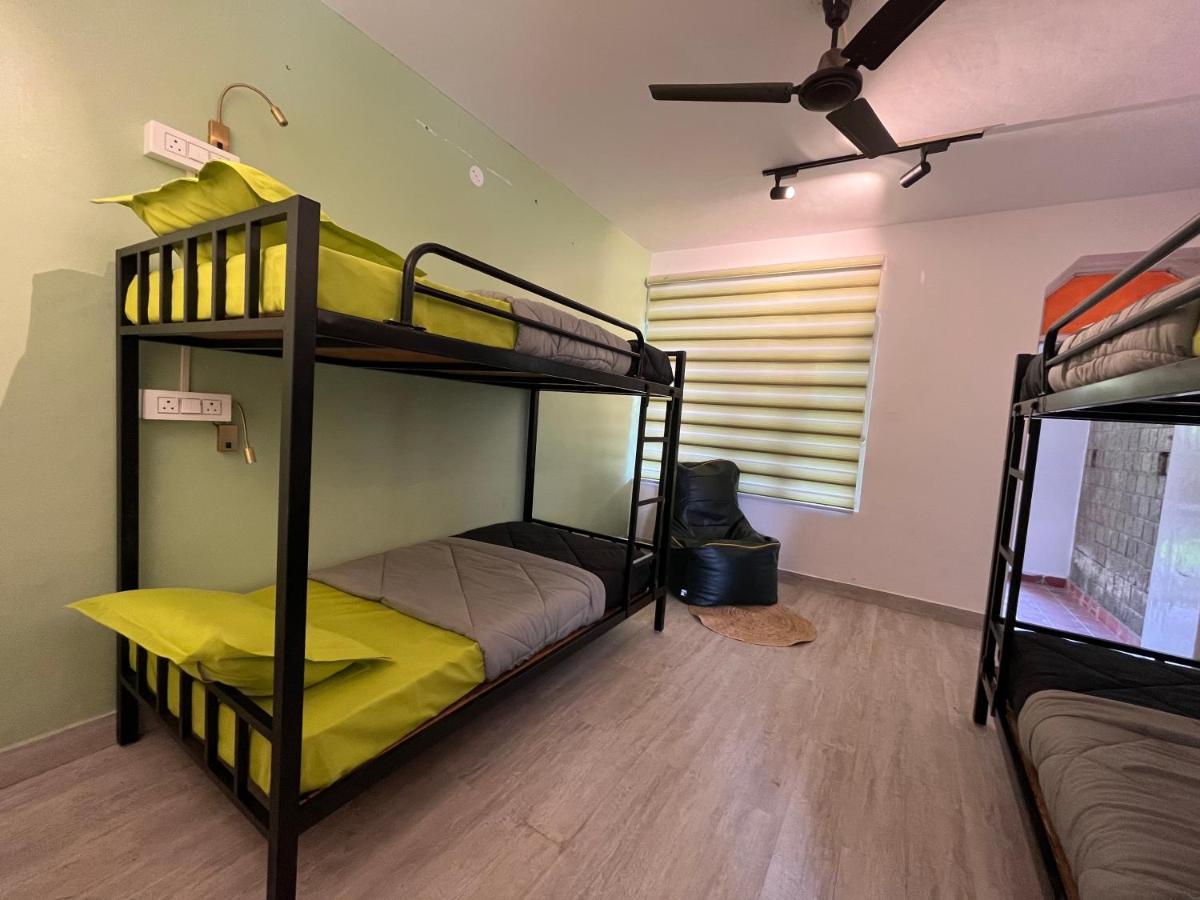 Himtrek Stays,Mcleodganj McLeod Ganj Eksteriør bilde