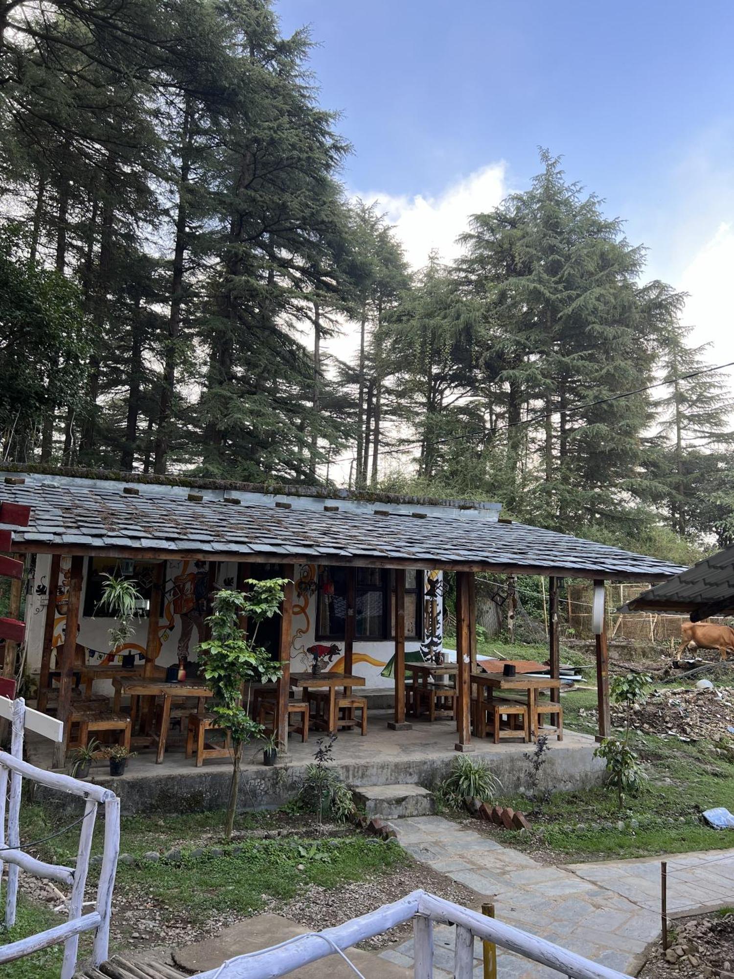 Himtrek Stays,Mcleodganj McLeod Ganj Eksteriør bilde