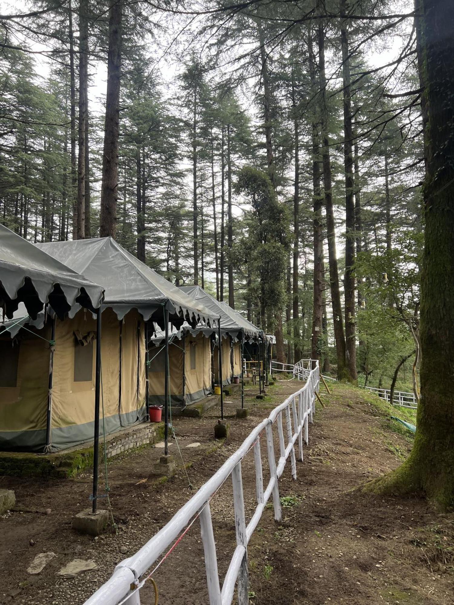Himtrek Stays,Mcleodganj McLeod Ganj Eksteriør bilde