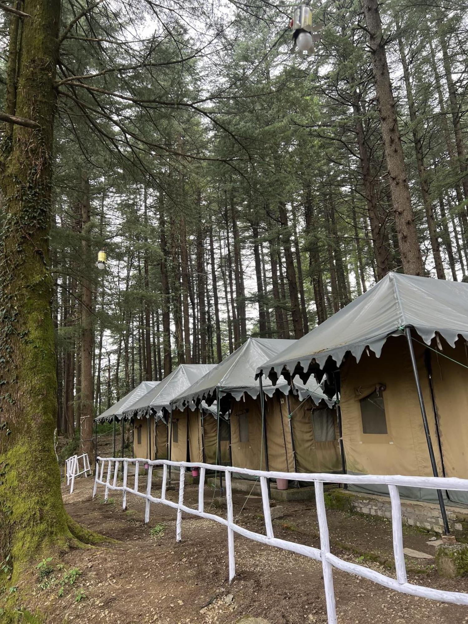 Himtrek Stays,Mcleodganj McLeod Ganj Eksteriør bilde