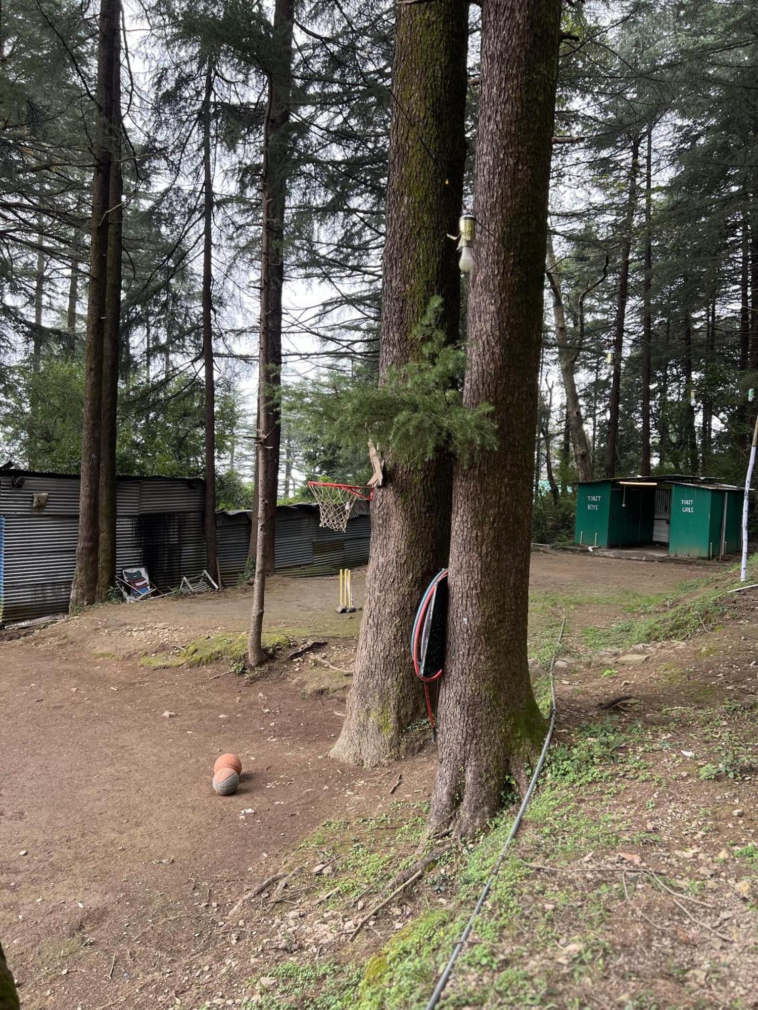 Himtrek Stays,Mcleodganj McLeod Ganj Eksteriør bilde