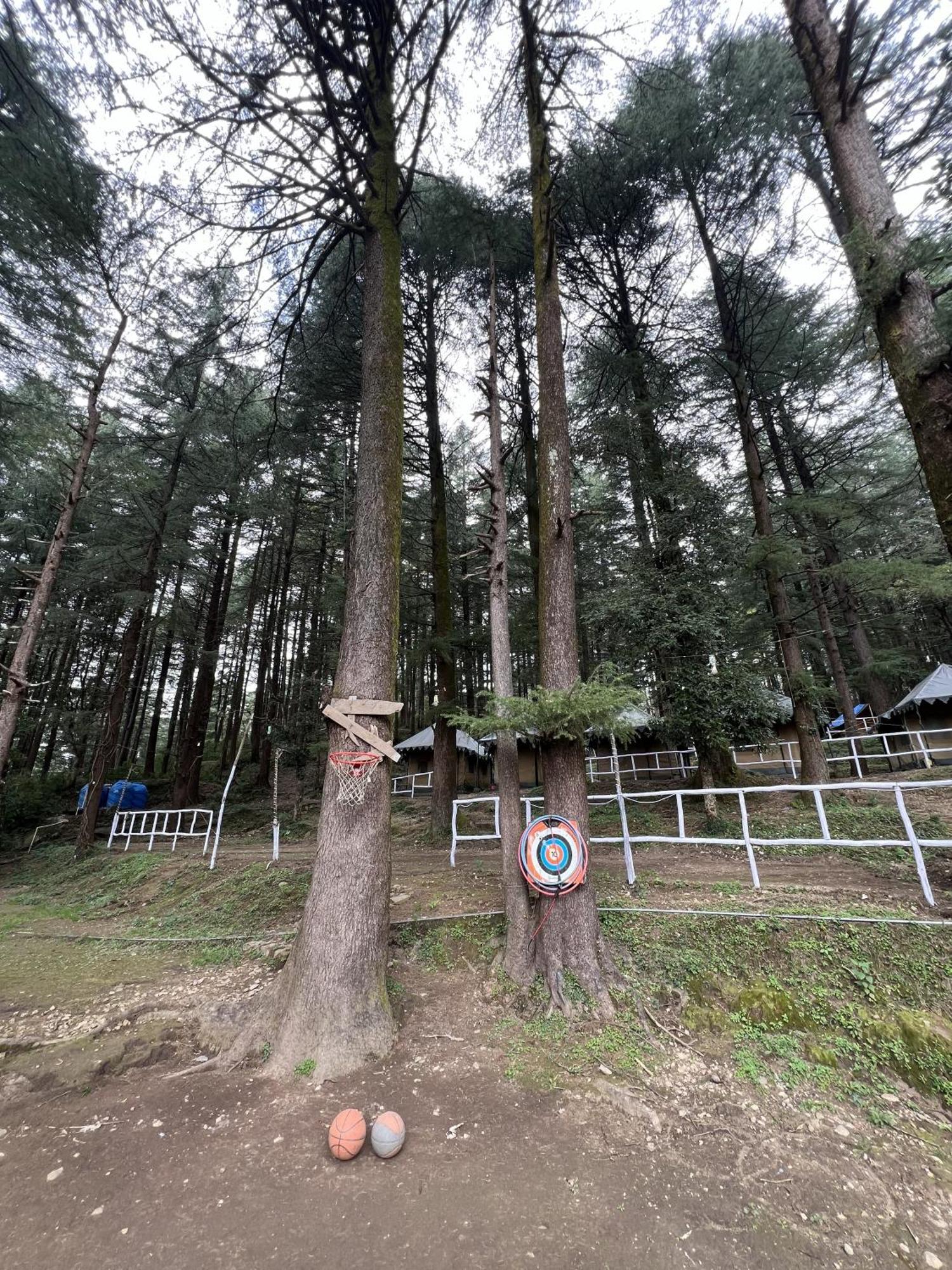 Himtrek Stays,Mcleodganj McLeod Ganj Eksteriør bilde