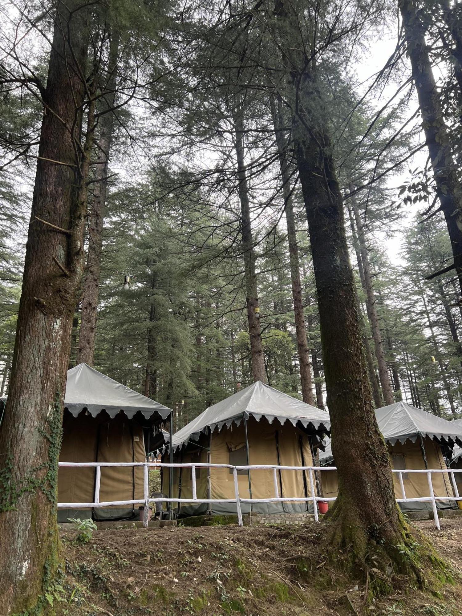 Himtrek Stays,Mcleodganj McLeod Ganj Eksteriør bilde