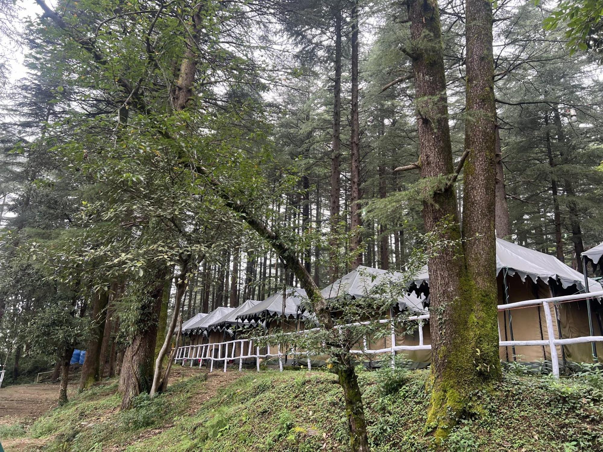 Himtrek Stays,Mcleodganj McLeod Ganj Eksteriør bilde