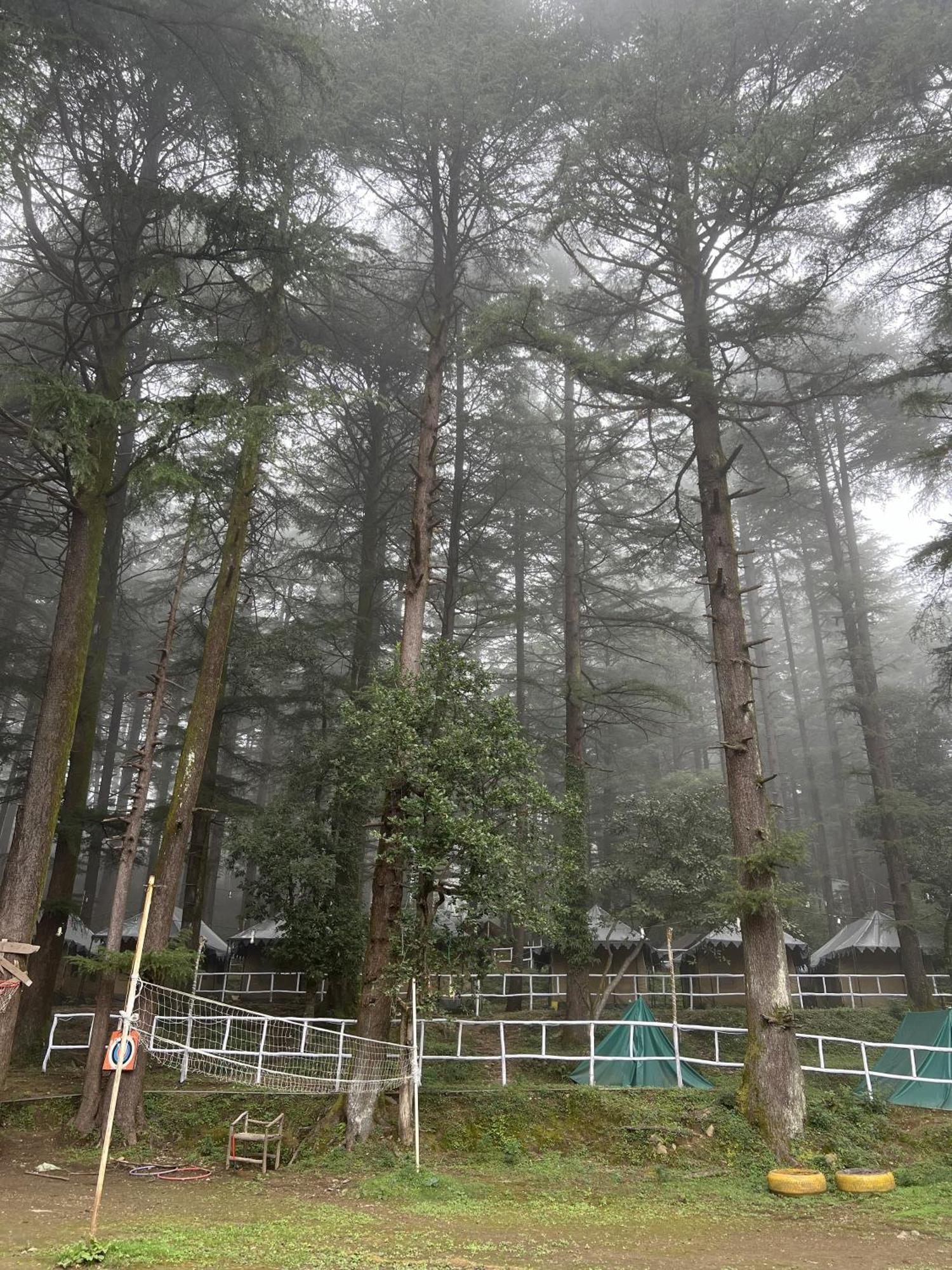 Himtrek Stays,Mcleodganj McLeod Ganj Eksteriør bilde