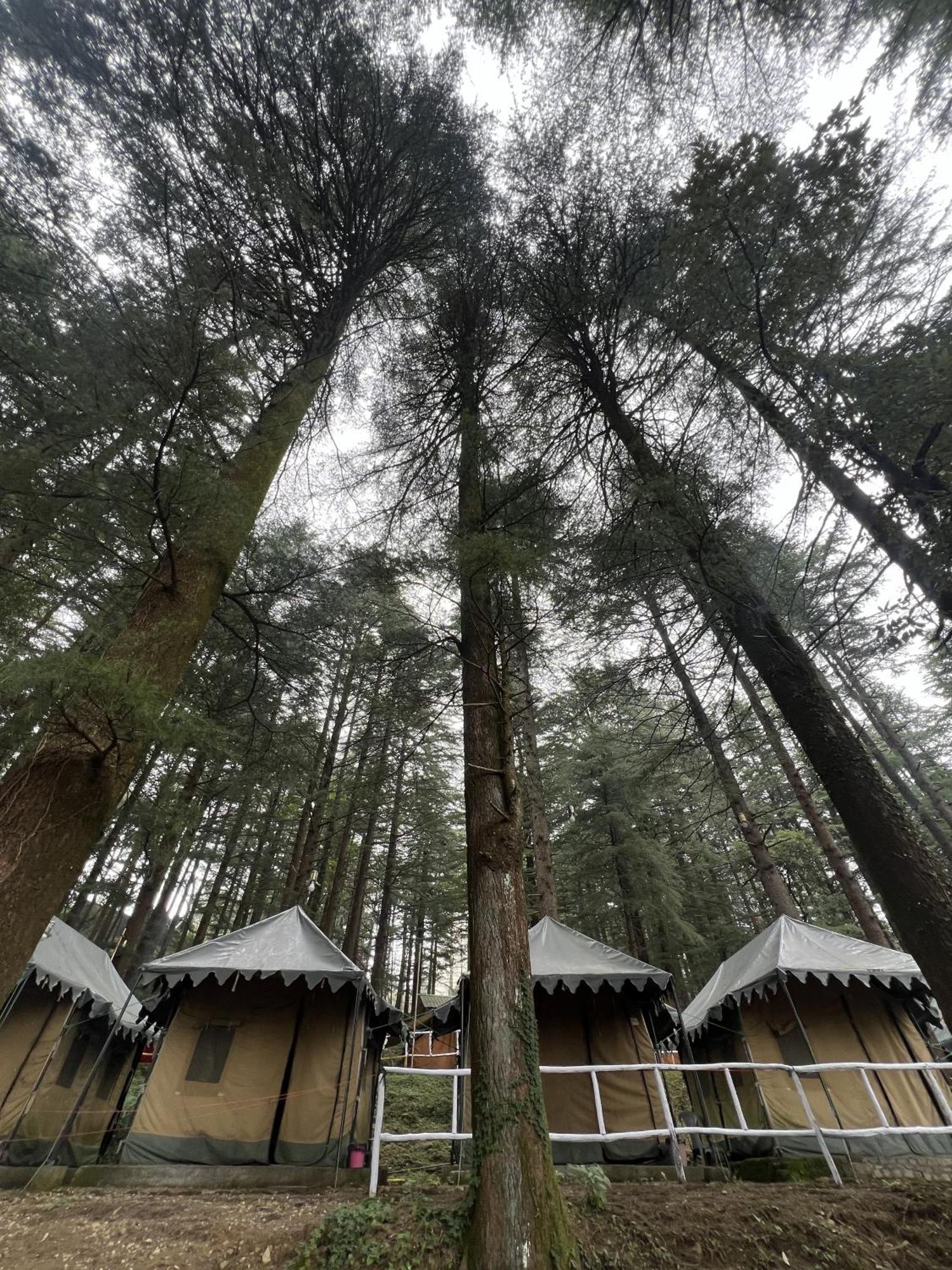 Himtrek Stays,Mcleodganj McLeod Ganj Eksteriør bilde