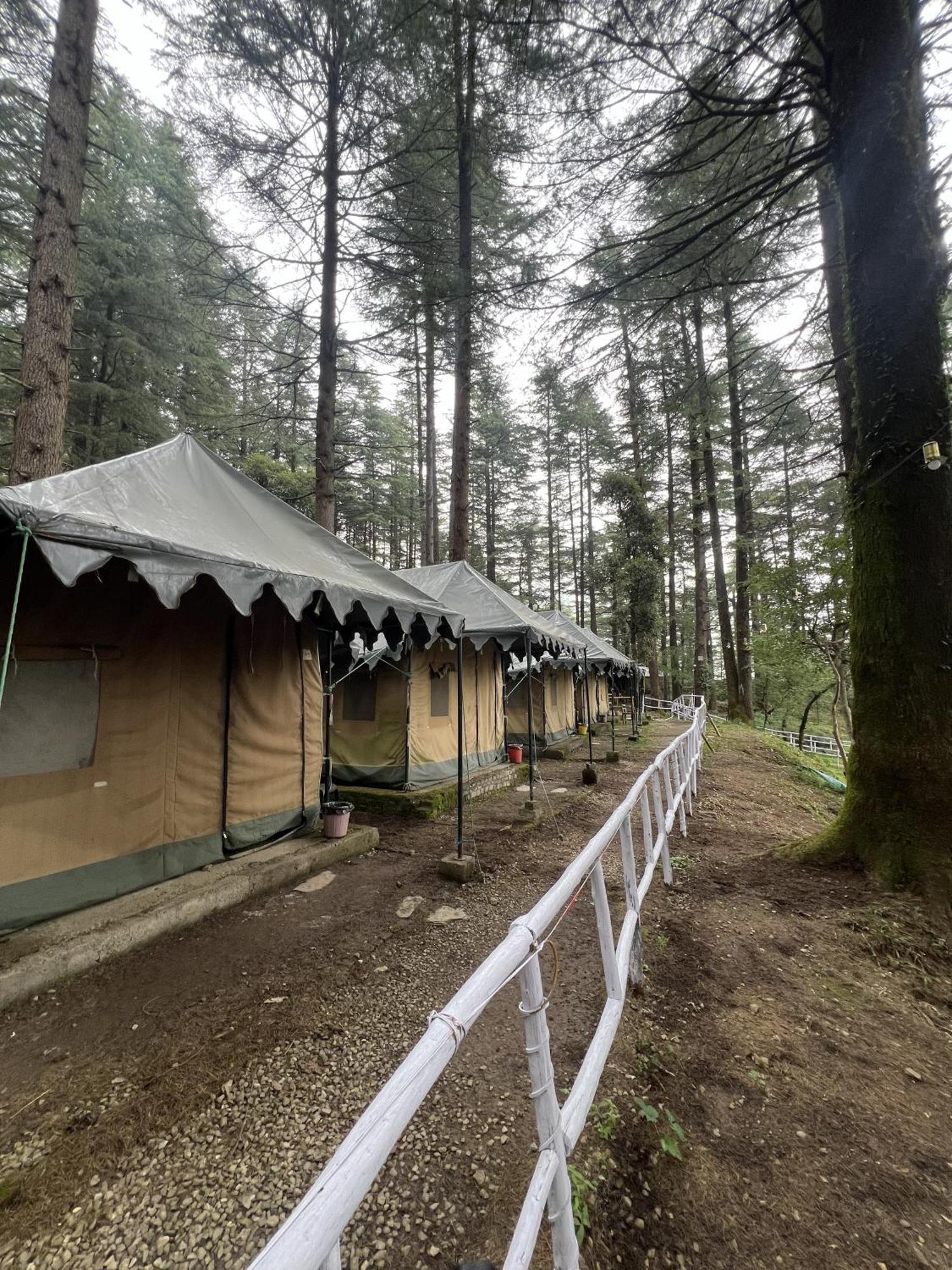 Himtrek Stays,Mcleodganj McLeod Ganj Eksteriør bilde