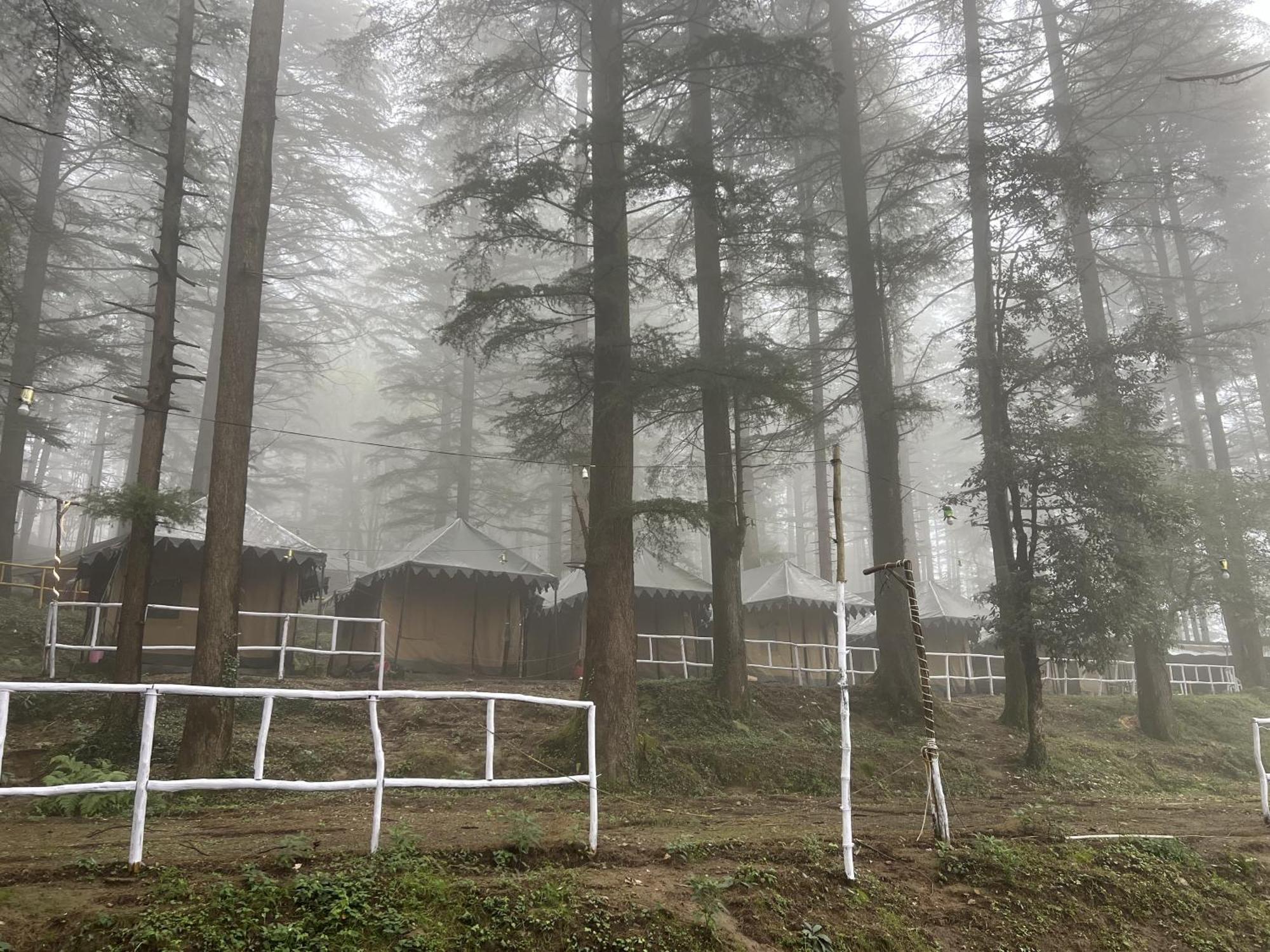 Himtrek Stays,Mcleodganj McLeod Ganj Eksteriør bilde