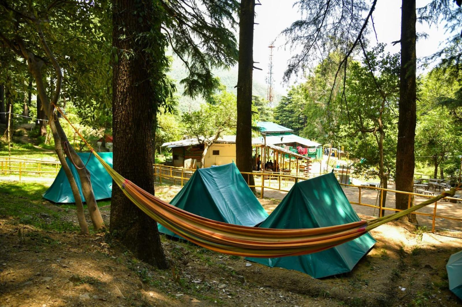 Himtrek Stays,Mcleodganj McLeod Ganj Eksteriør bilde